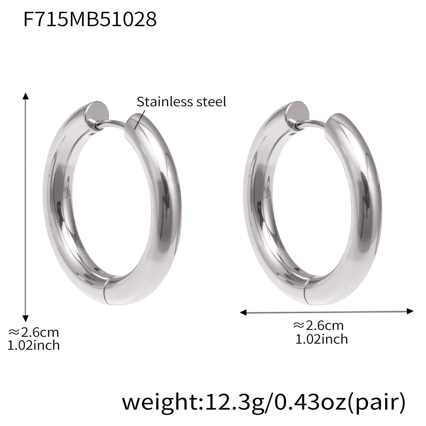Statement Stainless Steel Hoop Earrings – Bold Geometric Circle Earrings, Modern Minimalist Jewelry for Women