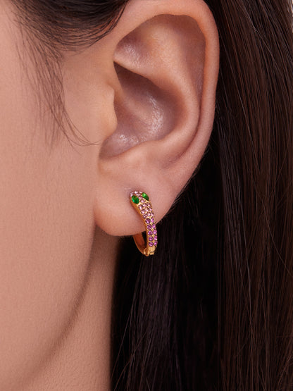 Colorful Zircon Snake Hoop Earrings | Stainless Steel Serpent Earrings Set – WANTI Jewelry