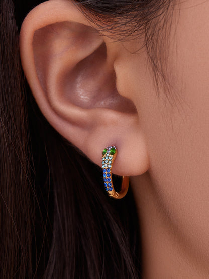 Colorful Zircon Snake Hoop Earrings | Stainless Steel Serpent Earrings Set – WANTI Jewelry