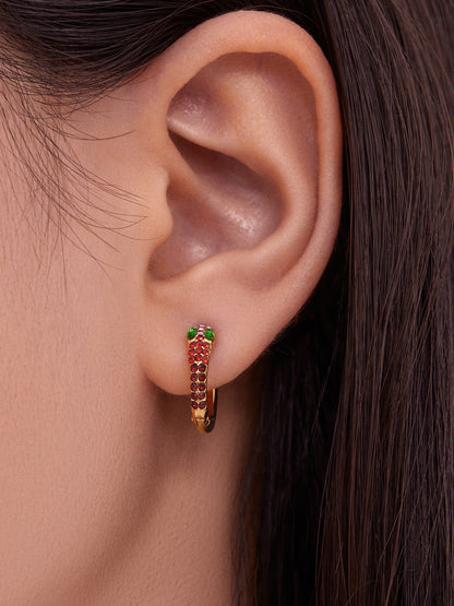 Colorful Zircon Snake Hoop Earrings | Stainless Steel Serpent Earrings Set – WANTI Jewelry