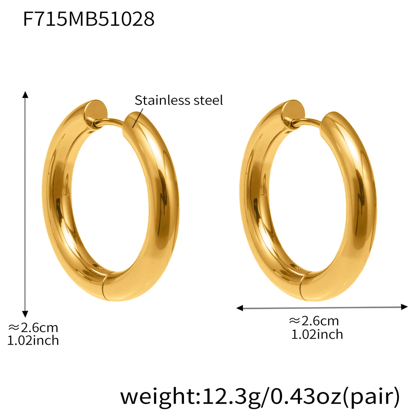 Statement Stainless Steel Hoop Earrings – Bold Geometric Circle Earrings, Modern Minimalist Jewelry for Women